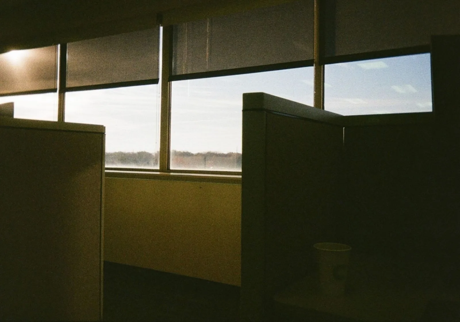Empty office cubicles beside a window at dawn