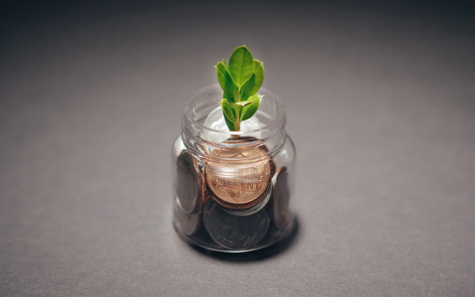 A penny and a few other U.S. coins in a small glass jar with a green sprout growing out of the top