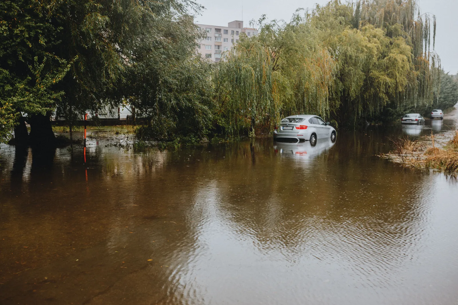Cars stranded on a flooded residential street lined with tall trees after heavy rain