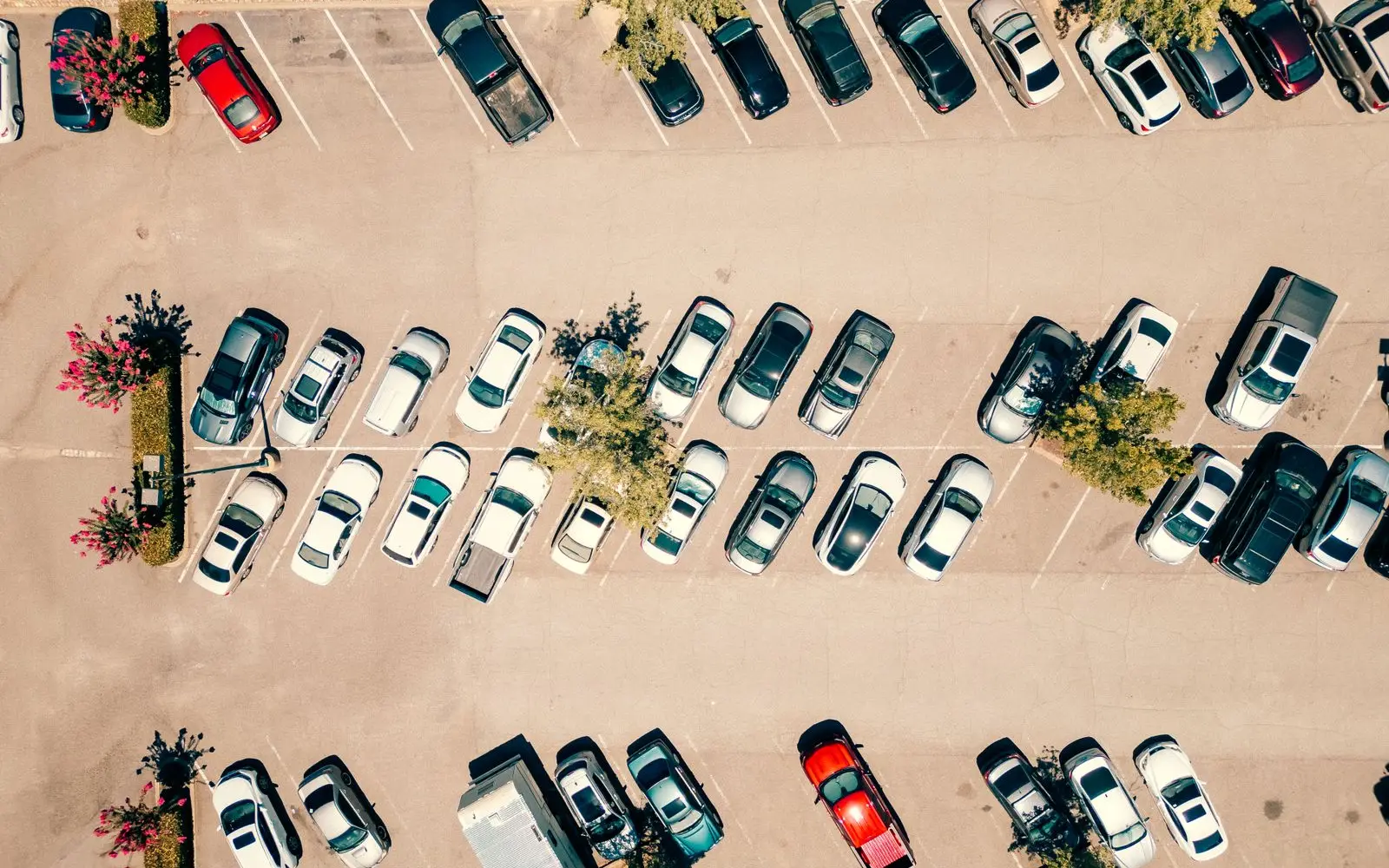 Aerial view of rows of parked cars in a sunny parking lot
