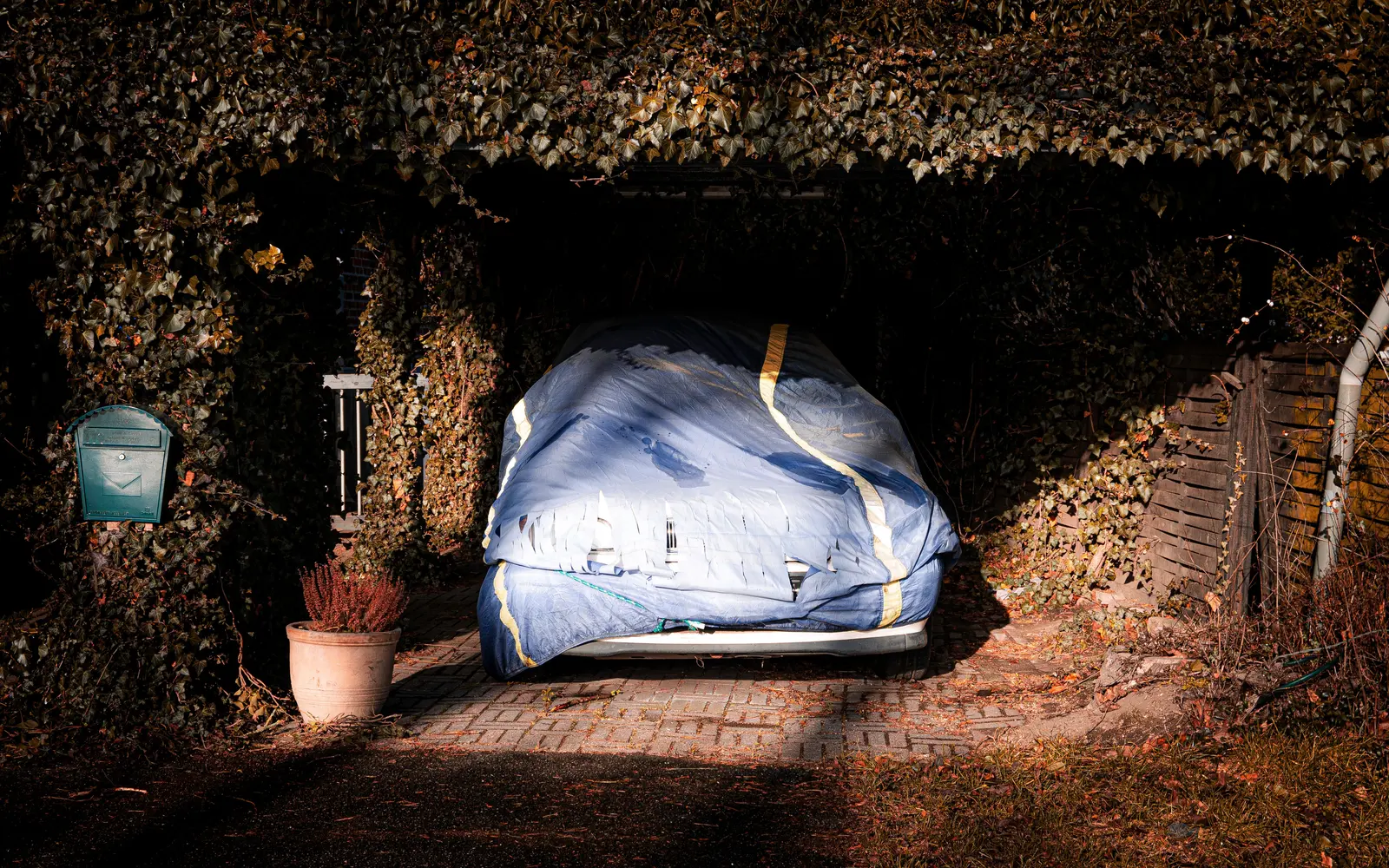 A car hidden under a blue cover in an ivy-draped carport, with a mailbox and a potted plant beside it